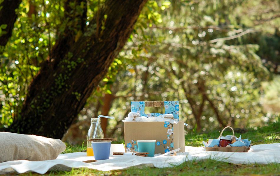 10 trucchi per un pic nic perfetto - greenMe