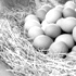 Market Eggs in Black and White
