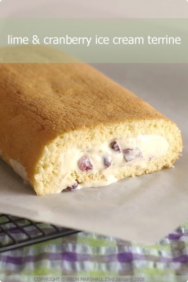 Roll over Terrine it%26%2339%3Bs Lime and Cranberry Ice cream%21