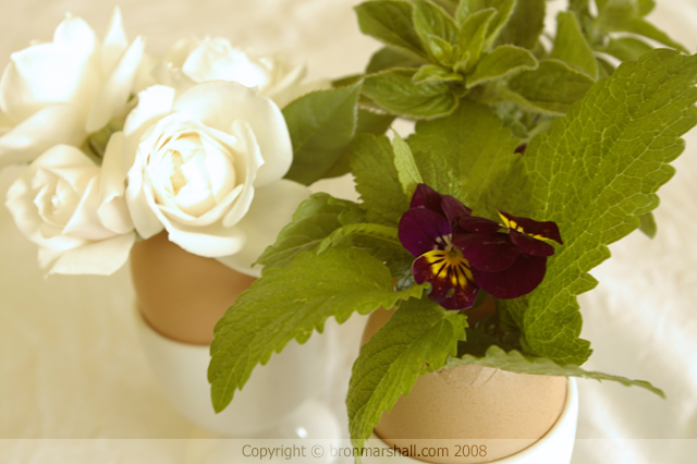 Egg Cup Posies of Miniature White Roses, Violas, and
various Herbs