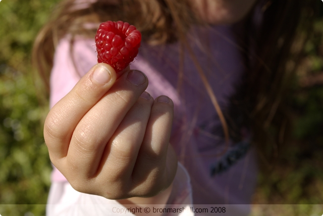 For the love of Raspberries