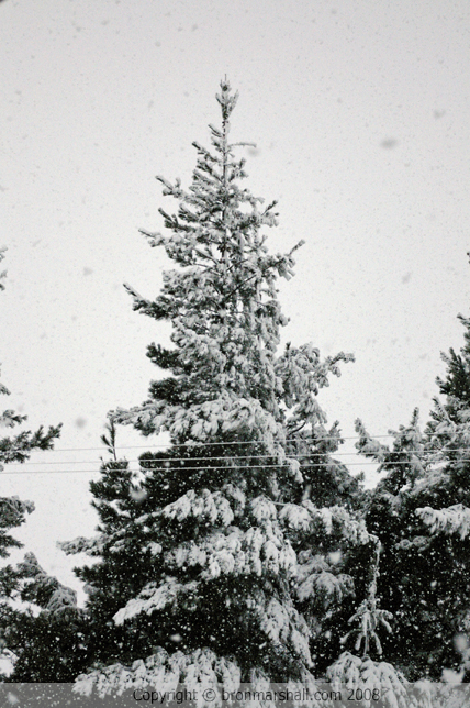 A Winter Wonderland and Banner