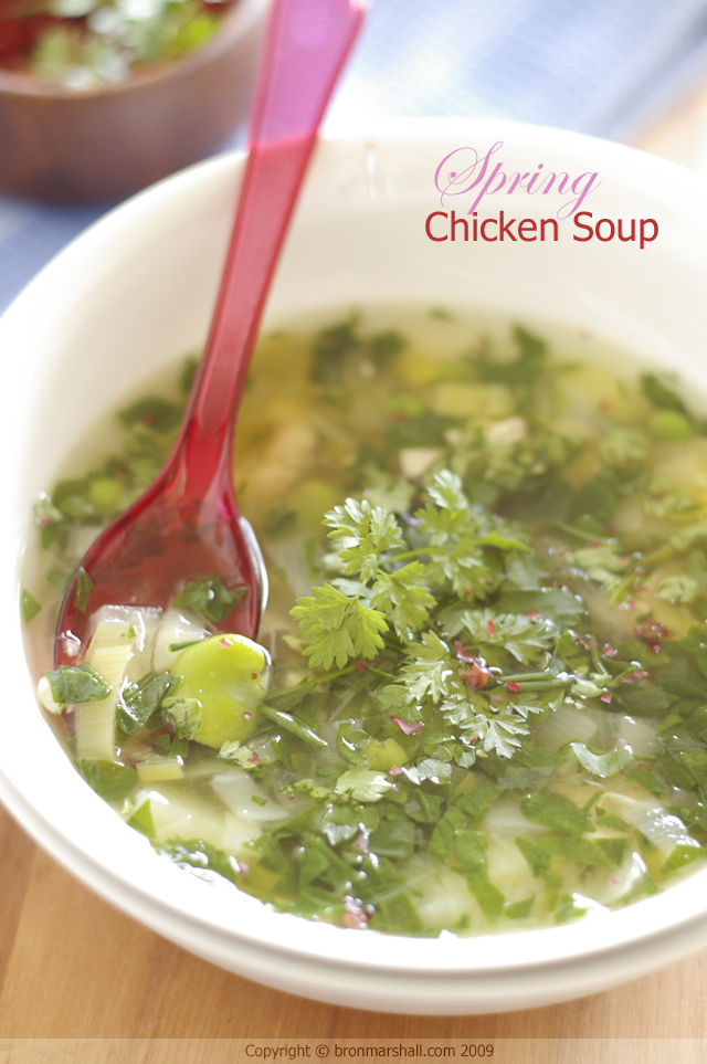 Spring into Chicken Soup
